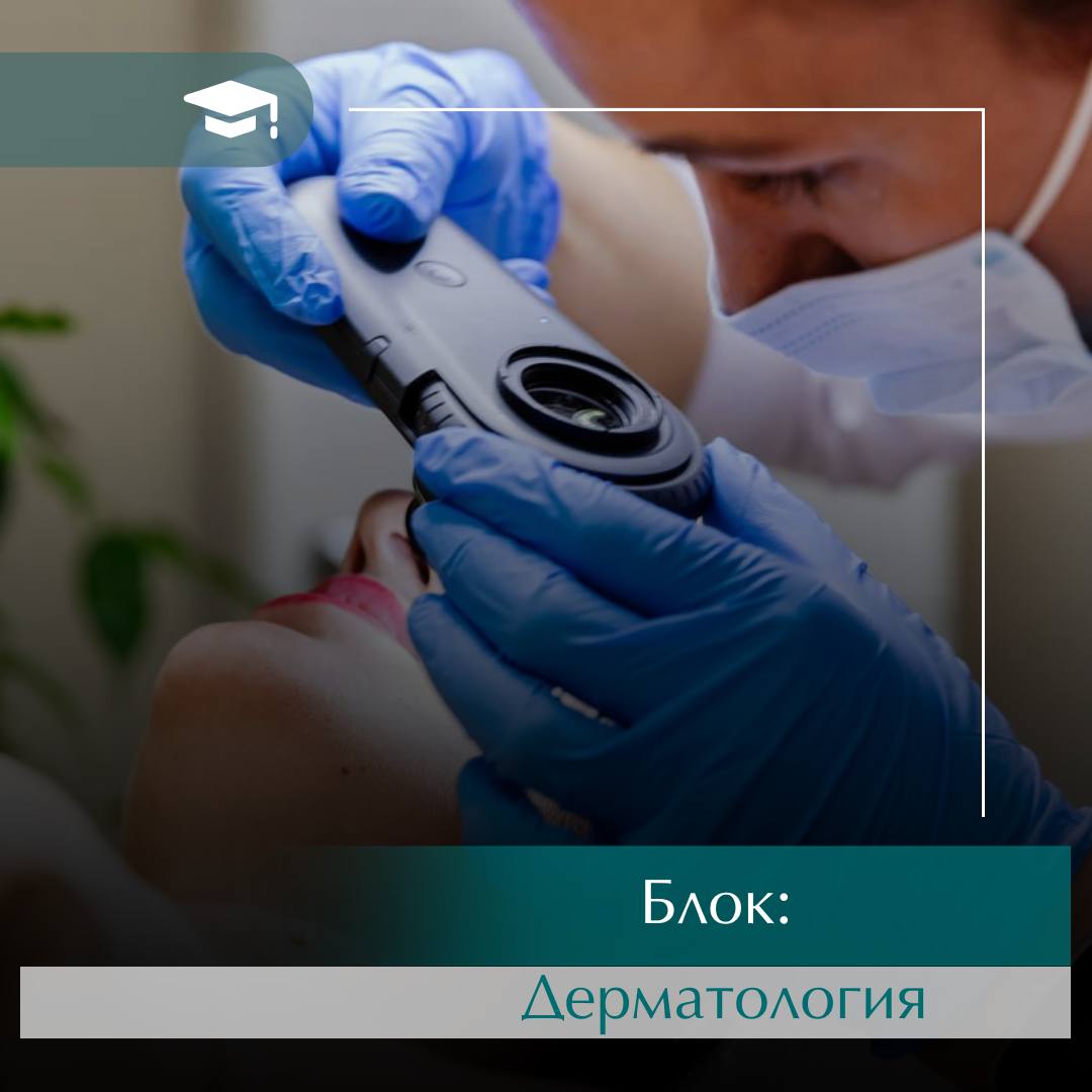 Блок: Дерматология